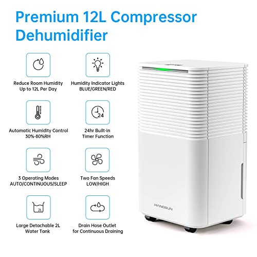 HANGSUN 12 L Luftentfeuchter with Digitaler Feuchtigkeitsanzeige