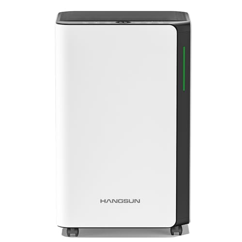 HANGSUN 20 L/day Luftentfeuchter for Luftentfeuchter for at home for Drying Clothes and Feuchtigkeit