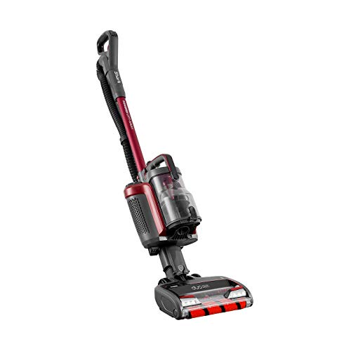 Shark cablelos Upright vacuum cleaner [IC160UKT]