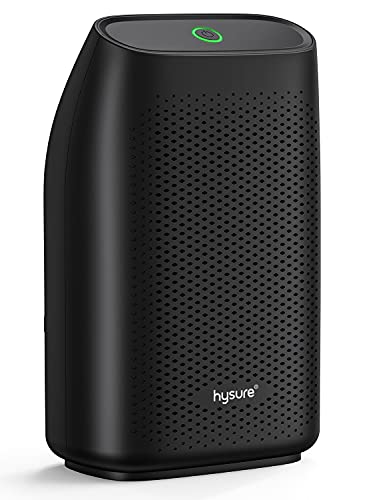 hysure Luftentfeuchter for at home Feuchtigkeit 700mL