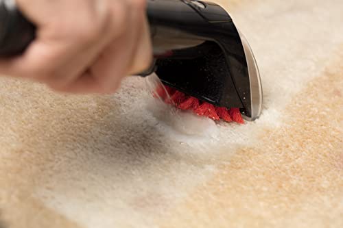 BISSELL SpotClean Pet Mobiler Teppichreiniger