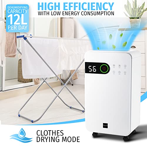 Nyxi Luftentfeuchter for at home 12 L per day