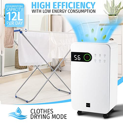 Nyxi Luftentfeuchter for at home 12 L per day
