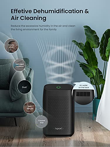 hysure Luftentfeuchter for at home Feuchtigkeit 700mL