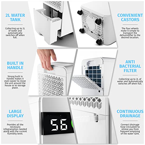 Nyxi Luftentfeuchter for at home 12 L per day