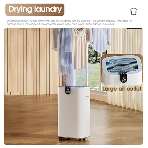 BAPHIYA 20 L Luftentfeuchter with HEPA Filter, Energiesparend Compressor
