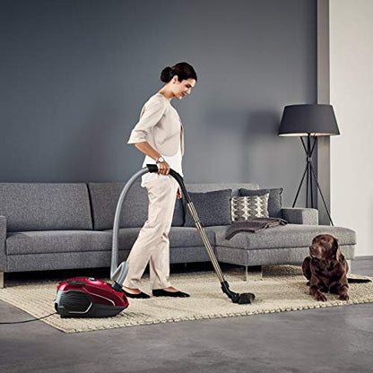 AEG VX6-2-RR, Bagged vacuum cleaner