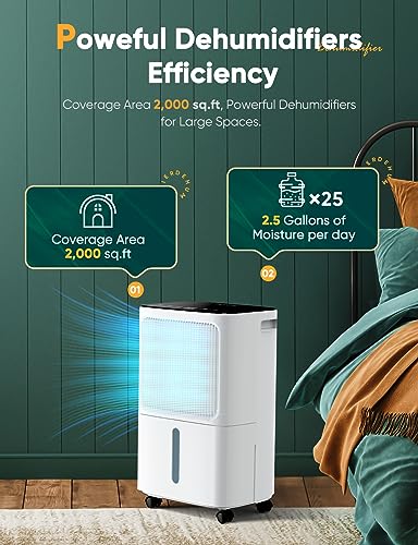 12 L/day Luftentfeuchter for at home Feuchtigkeit