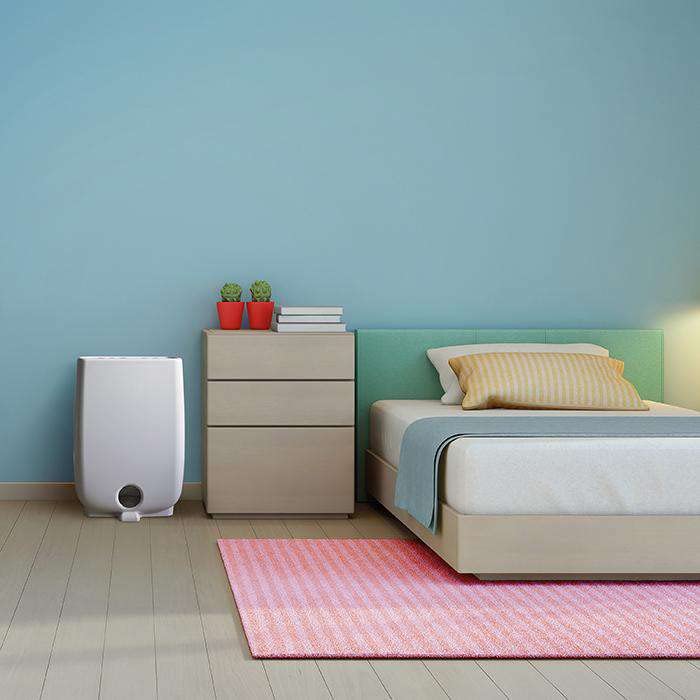 Meaco 8 L/day Luftentfeuchter for at home DD8L