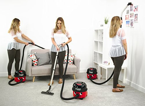 Henry HVB160x1 907226 cableloser vacuum cleaner, 6 litres