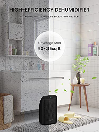 hysure Luftentfeuchter for at home Feuchtigkeit 700mL