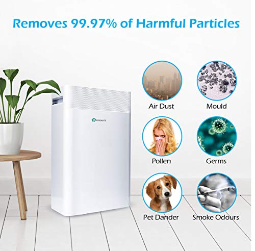 PureMate Luftreiniger for at home 5 in1 with Ioniser and Sleep Modus