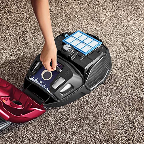 AEG VX6-2-RR, Bagged vacuum cleaner