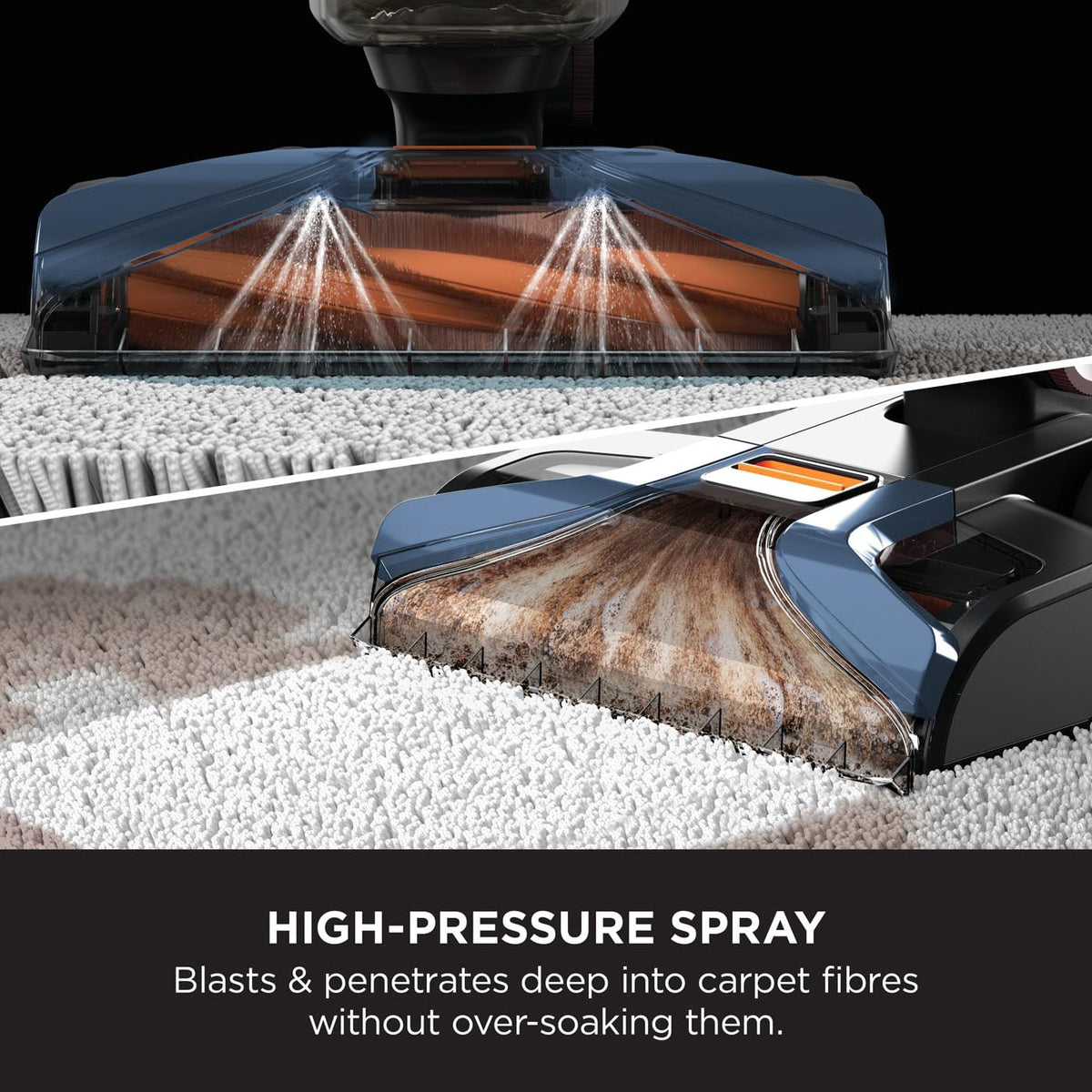 Shark CarpetXpert Deep Clean Teppichreiniger
